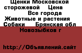 Щенки Московской сторожевой  › Цена ­ 25 000 - Все города Животные и растения » Собаки   . Брянская обл.,Новозыбков г.